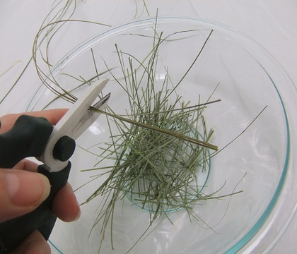 Scattered grass armature