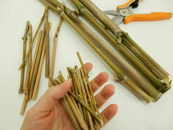 Cut 16 pieces of very thin bamboo