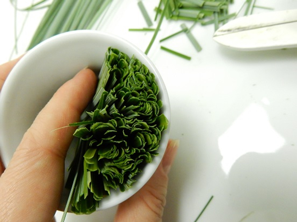 Place the first hand full of short blades of grass in a small container.