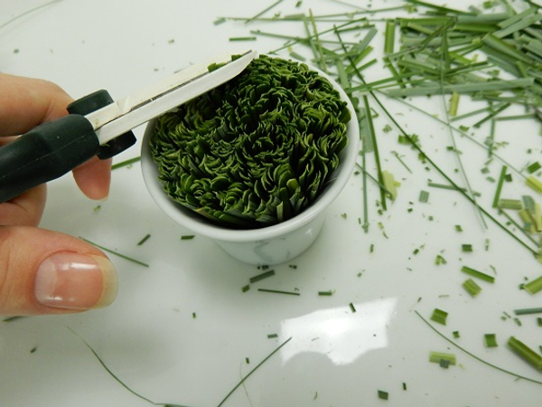 Trim away any stands of grass Trim away any stands of grass