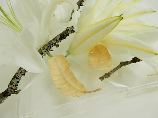 Lilies and twig in a clear tray