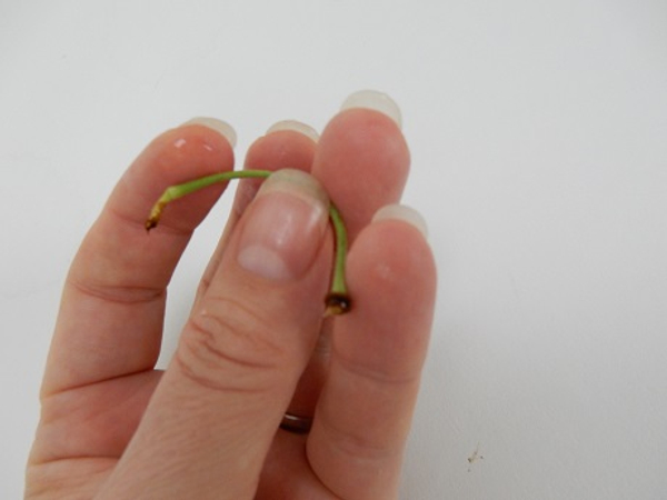 Bend the stem using the pad of your thumb as support