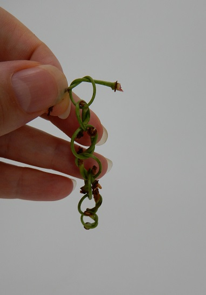To create a long chain like garland