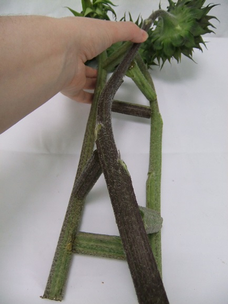 Add another truss piece to connect the third flower stem with the second