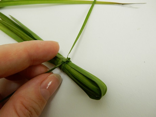 Wrap the vain part of the palm leaf to secure the leaves around the test tube