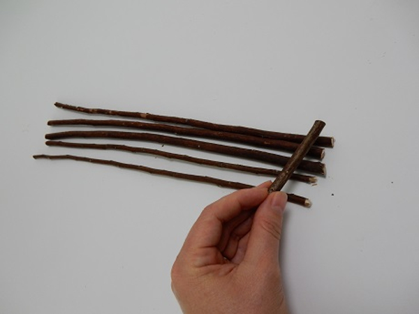 Cut six long twigs for the length of your basket, and two short twigs for the width of your basket. 