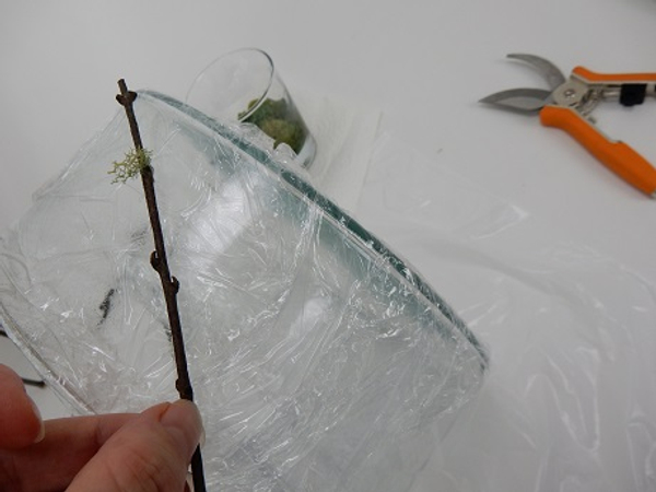 Lay your first twig on the glass container