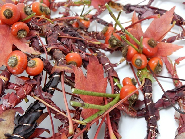 Rose hips and autumn leaves