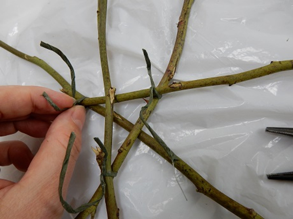 Secure each twig with bind wire.