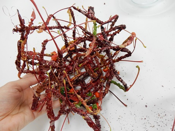 Start weaving the garland to create the bowl of the hat