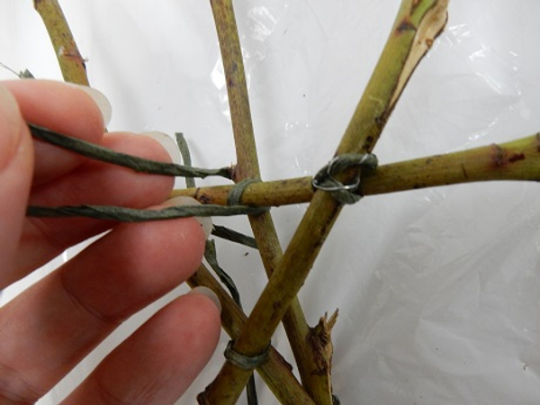 Tie the twigs together in a figure eight