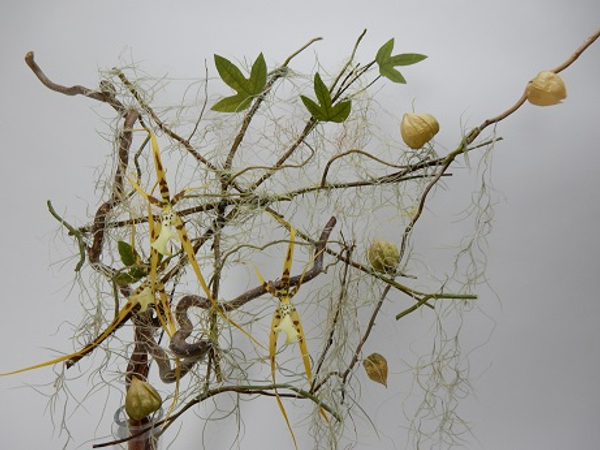 Weave a Spanish Moss spider web