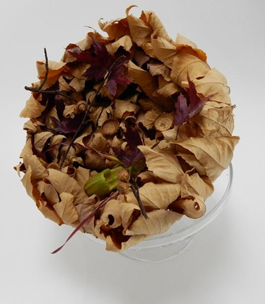 Acorn shaped fall leaf armature