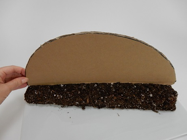 Cut a cardboard half circle that is exactly the same size as the ground foundation