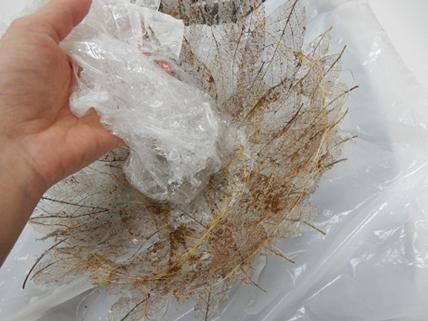 Peel away the cling wrap from the skeleton leaves Peel away the cling wrap from the skeleton leaves