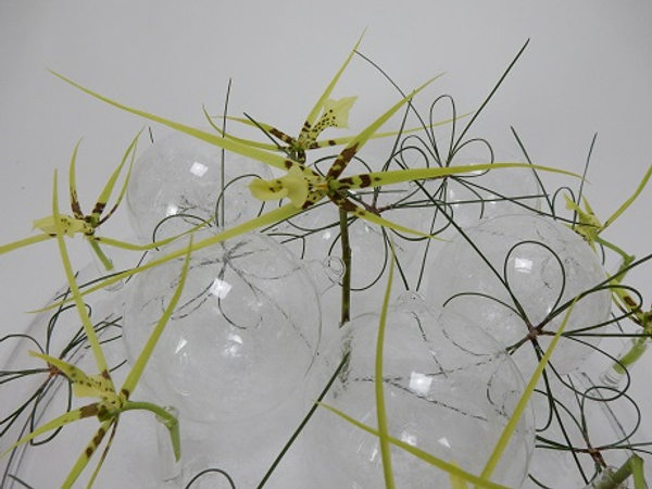 Brassia orchids and glass baubles