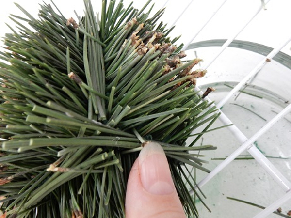 Peg a verticle bundle to cover the side edges Peg a verticle bundle to cover the side edges