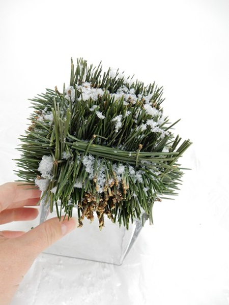Pineneedle cube ready to design with Pineneedle cube ready to design with