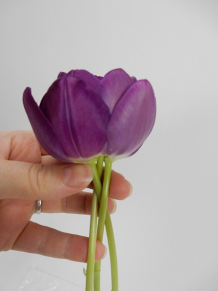 Carefully start to braid or plait the stems together