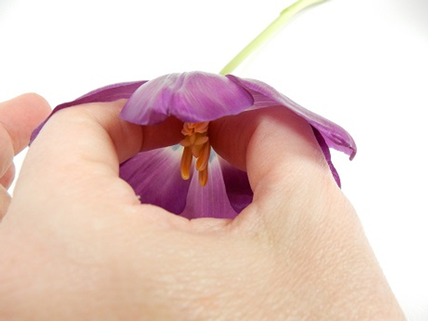 I used to just reach into the flower and pinch away the stamen as a little girl