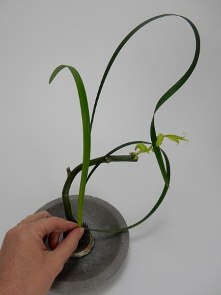 Ikebana Lesson  Tips And Tricks On Using The Kenzan 