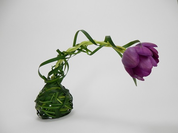 Three purple tulips braided together