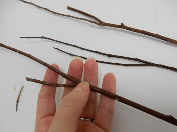 Cut a few twigs with natural forks
