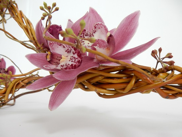 Cymbidium orchids, eucalyptus capsules and willow