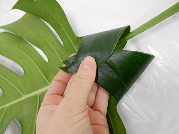 Fold the leaf lobe over and secure with glue