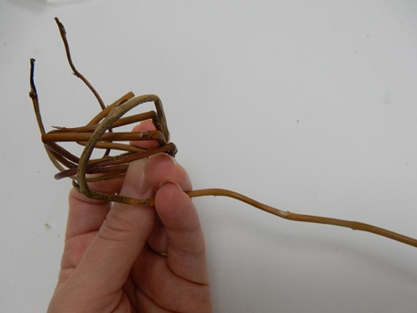 Keep twirling the stem and adding a few more stems to create a willow tube