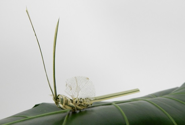 Skeleton leaf wings for foliage butterflies