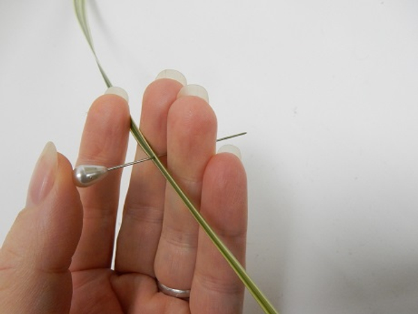 Split a long blade of grass with a pin