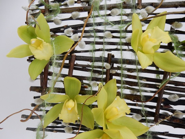 Cymbidium orchids on a willow blind