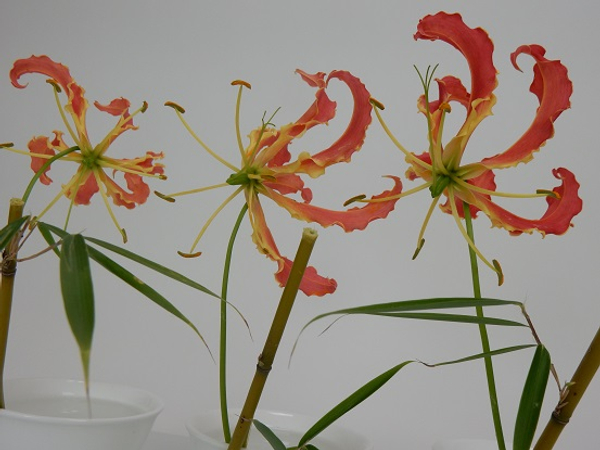 Hana-Kubari Ikebana floral art technique