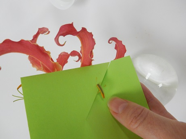 Slip the stamen into the cut paper