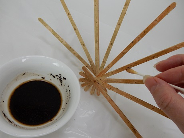 Tutorials - Birch wood coffee stir sticks fan