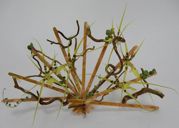 Stir-Stick Fan Floral art design Stir-Stick Fan Floral art design