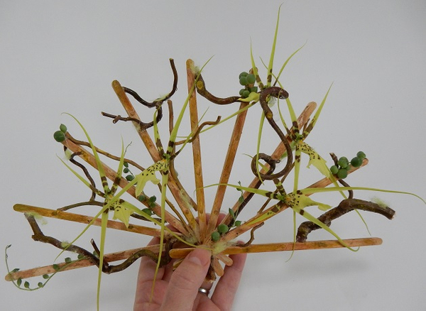 Stir-Stick Fan With succulents and Brassia orchids