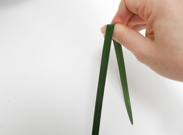 Cushion the blade of grass with the pad of your thumb