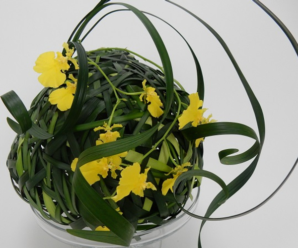 Grass sphere with Oncidium orchids