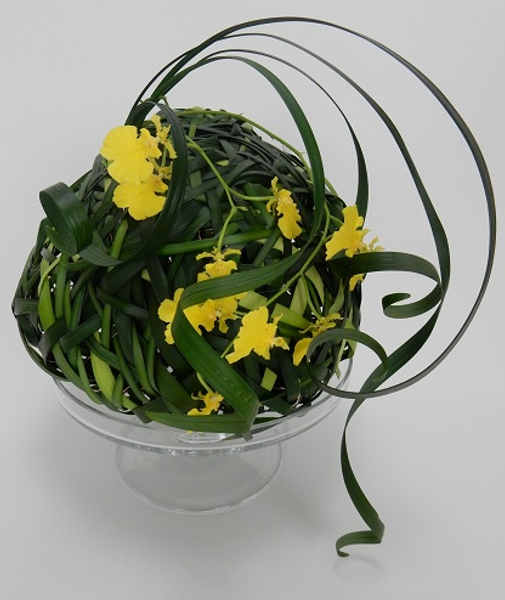 Oncidium orchids in a grass armature