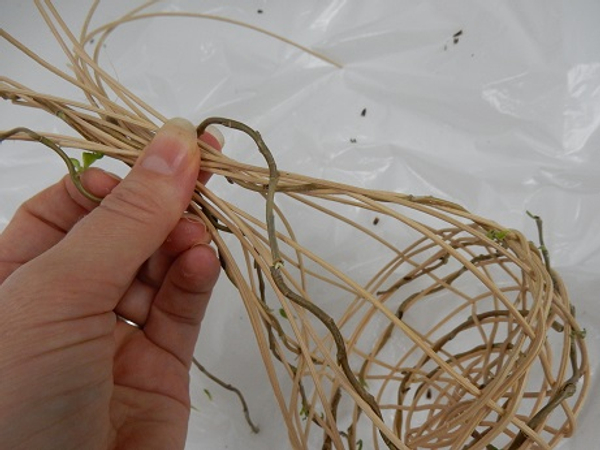 Secure the strands with a pliable willow stem