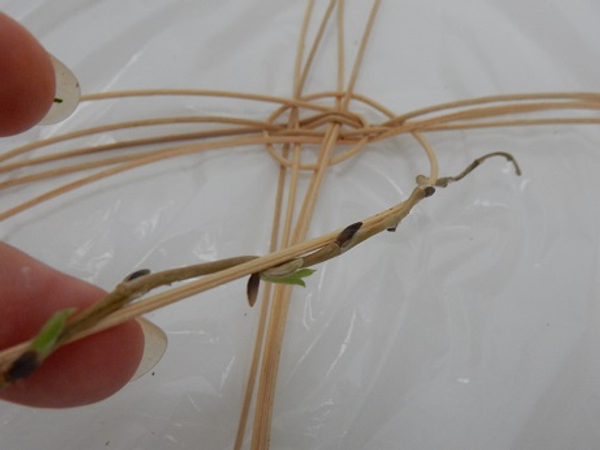 Twirl thin willow stems around the cane to carefully weave into the basket