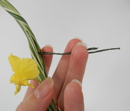 Hairpin wire to balance a thin bundle of grass on a vase