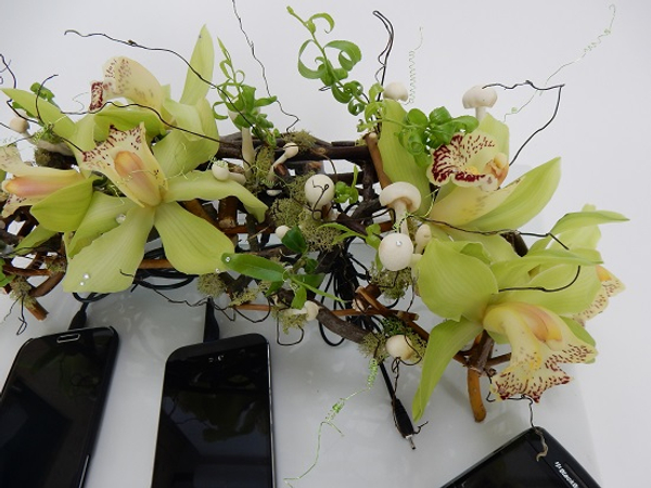 Cymbidium orchids, moss and mushroom on twigs