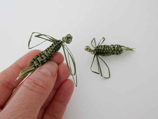 Palm leaf dragonfly ready to design with