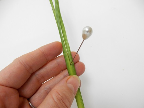 Split a palm leaf or blade of grass in three