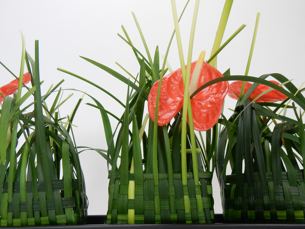 Anthurium and grass baskets