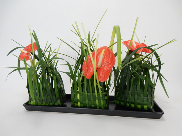 Anthurium and grass design