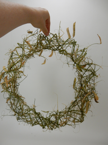 Dried Lathyrus wreath ready to design with